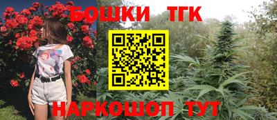 гашик Ливны